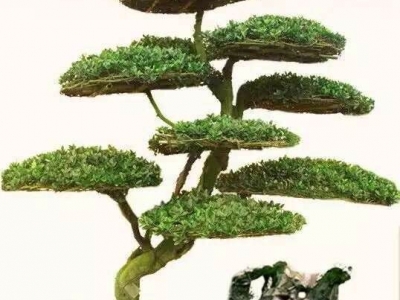 吸塑托盤(pán)